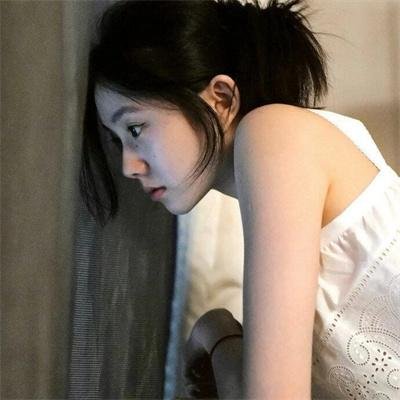 没人瞭波斯猫